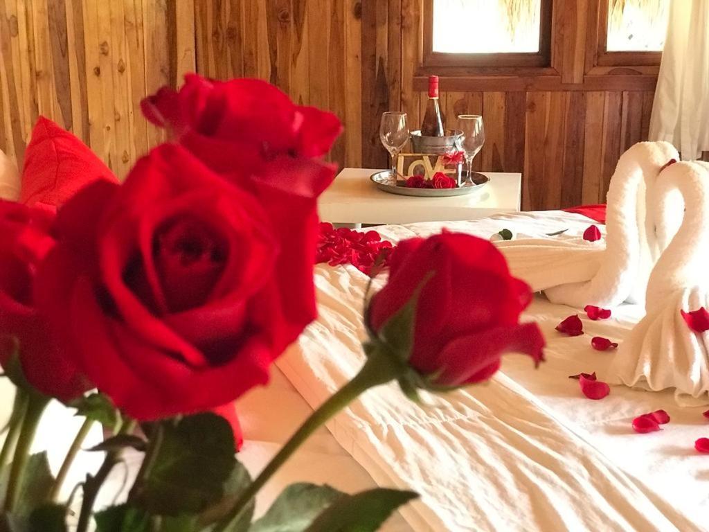 Hotel Tortuga Village San Luis La Herradura Ngoại thất bức ảnh