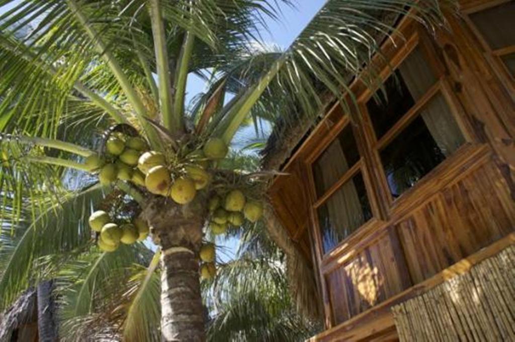 Hotel Tortuga Village San Luis La Herradura Ngoại thất bức ảnh